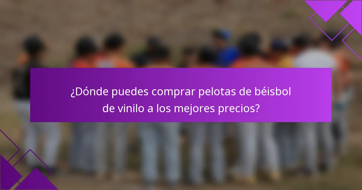 ¿Dónde puedes comprar pelotas de béisbol de vinilo a los mejores precios?