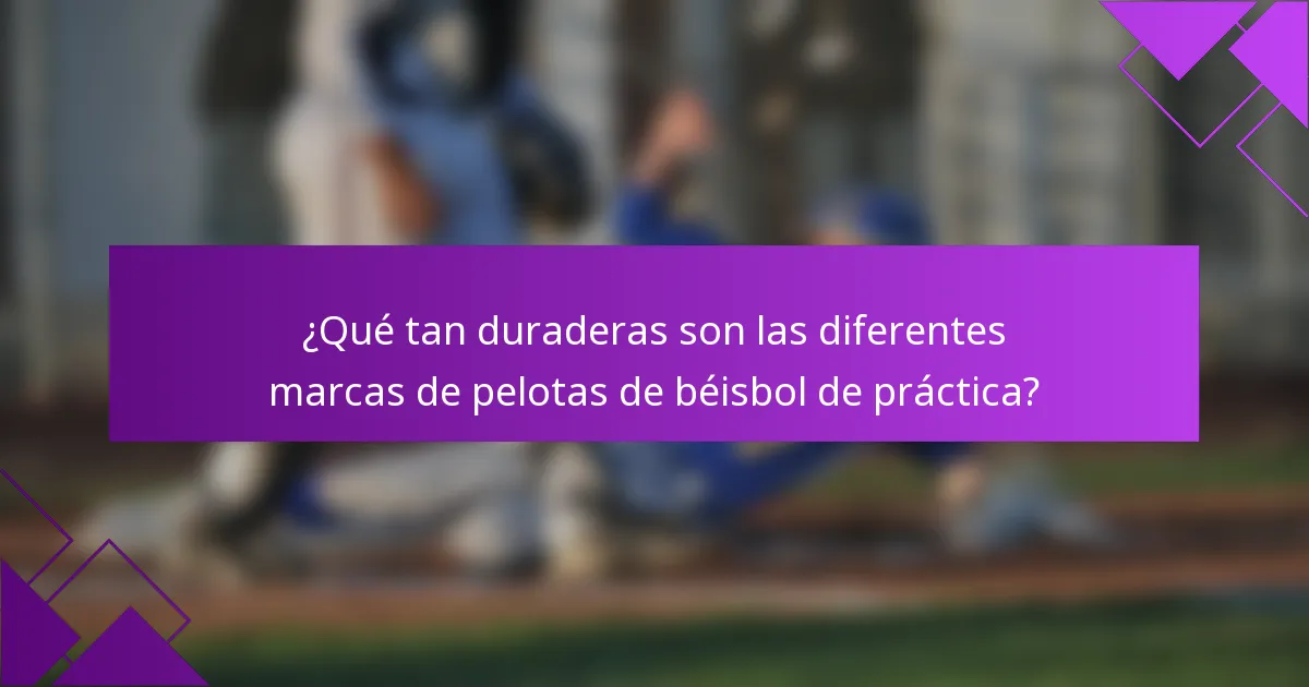¿Qué tan duraderas son las diferentes marcas de pelotas de béisbol de práctica?
